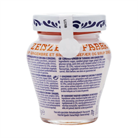 Zenzero Fabbri 230gr