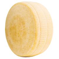 Pecorino Ruota del Re sheep matured cheese